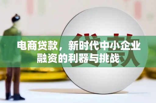 米东电商贷款，新时代中小企业融资的利器与挑战