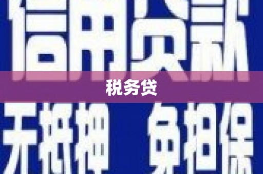 米东税务贷