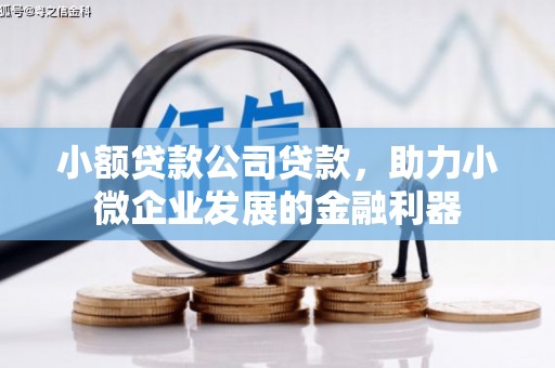米东小额贷款公司贷款，助力小微企业发展的金融利器