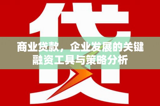 米东商业贷款，企业发展的关键融资工具与策略分析