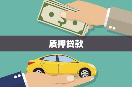 米东质押贷款