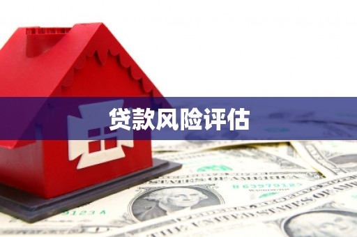 米东贷款风险评估