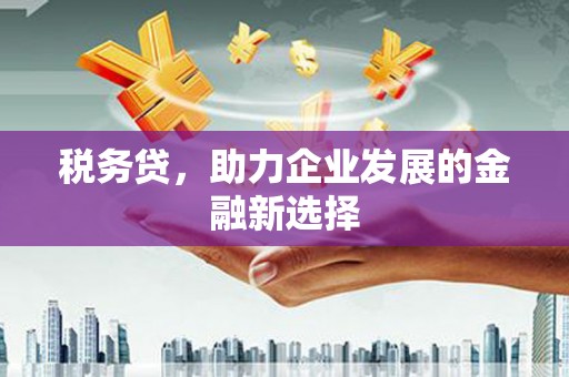 米东税务贷，助力企业发展的金融新选择