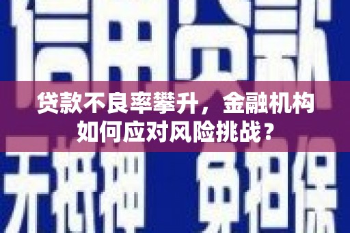 米东贷款不良率攀升，金融机构如何应对风险挑战？