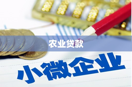 米东农业贷款