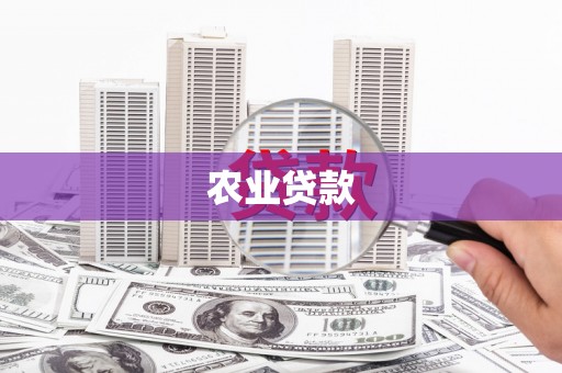 米东农业贷款