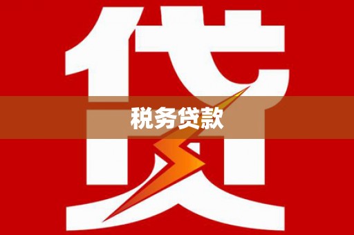 米东税务贷款