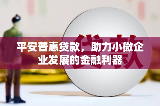 米东平安普惠贷款，助力小微企业发展的金融利器