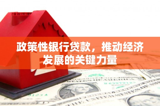 米东政策性银行贷款，推动经济发展的关键力量