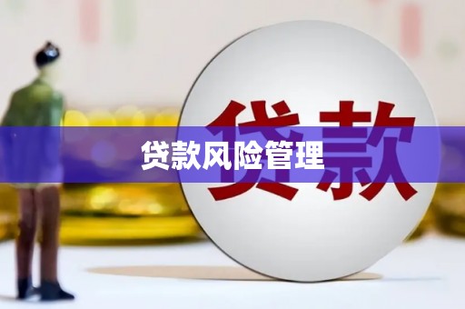 米东贷款风险管理