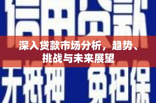 米东深入贷款市场分析，趋势、挑战与未来展望