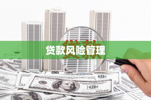 米东贷款风险管理
