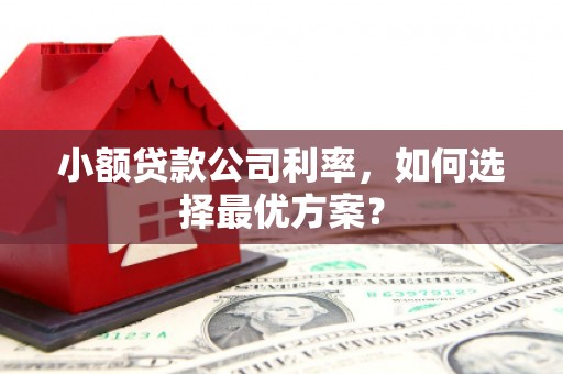 米东小额贷款公司利率，如何选择最优方案？
