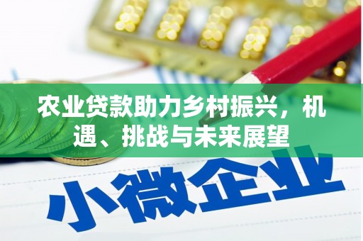 米东农业贷款助力乡村振兴，机遇、挑战与未来展望