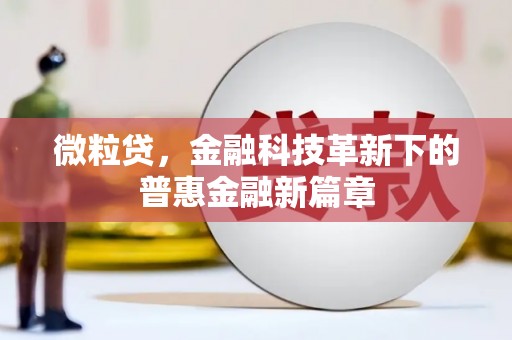 米东微粒贷，金融科技革新下的普惠金融新篇章