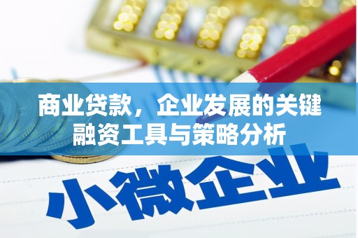 米东商业贷款，企业发展的关键融资工具与策略分析