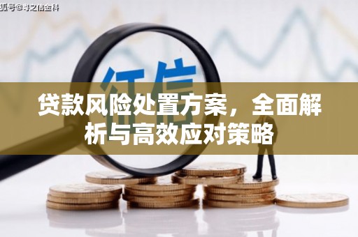 米东贷款风险处置方案，全面解析与高效应对策略