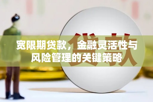 米东宽限期贷款，金融灵活性与风险管理的关键策略