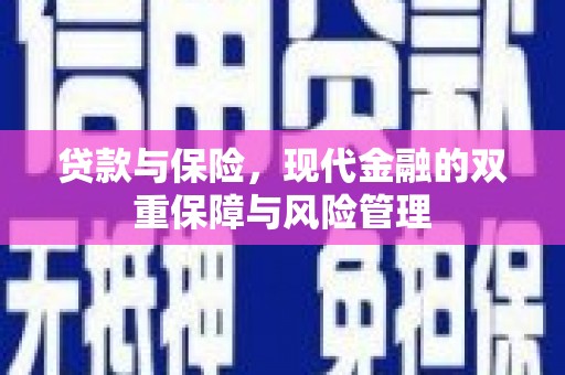 米东贷款与保险，现代金融的双重保障与风险管理