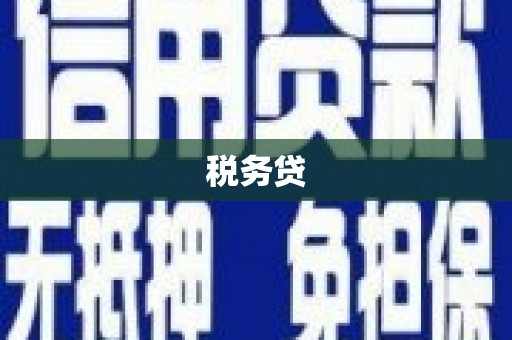 米东税务贷