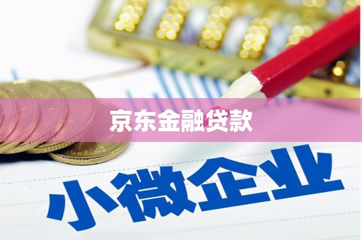 米东京东金融贷款