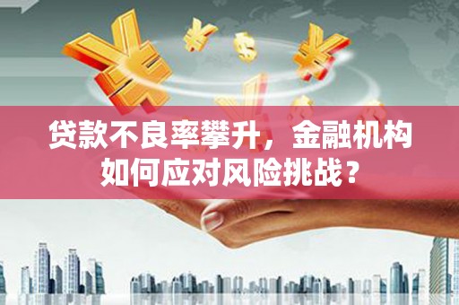 米东贷款不良率攀升，金融机构如何应对风险挑战？