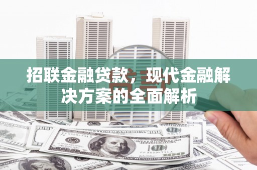 米东招联金融贷款，现代金融解决方案的全面解析