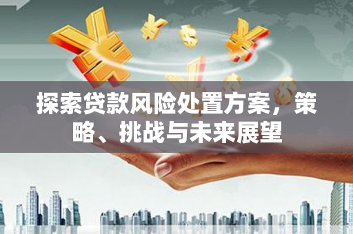 米东探索贷款风险处置方案，策略、挑战与未来展望