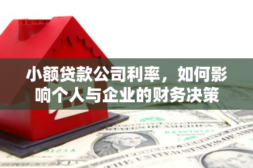 米东小额贷款公司利率，如何影响个人与企业的财务决策