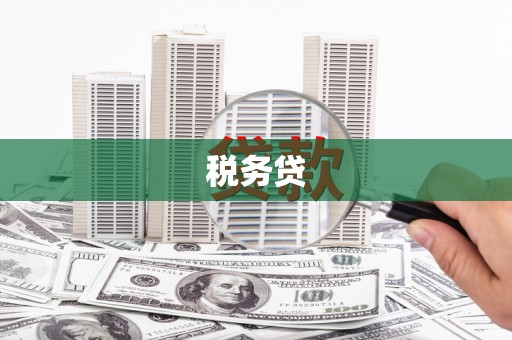 米东税务贷