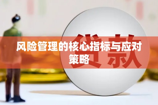 米东风险管理的核心指标与应对策略