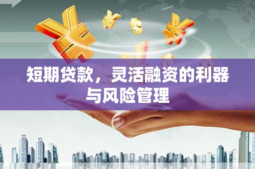 米东短期贷款，灵活融资的利器与风险管理