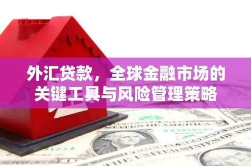 米东外汇贷款，全球金融市场的关键工具与风险管理策略