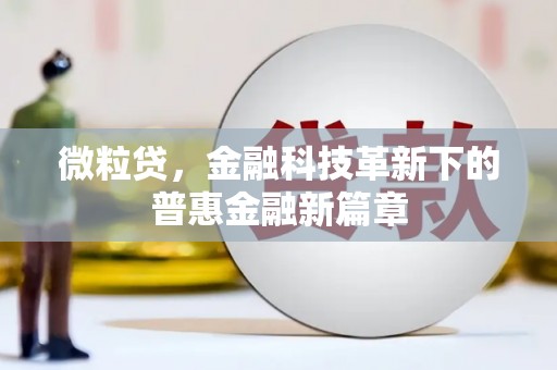 米东微粒贷，金融科技革新下的普惠金融新篇章
