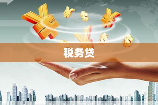 米东税务贷