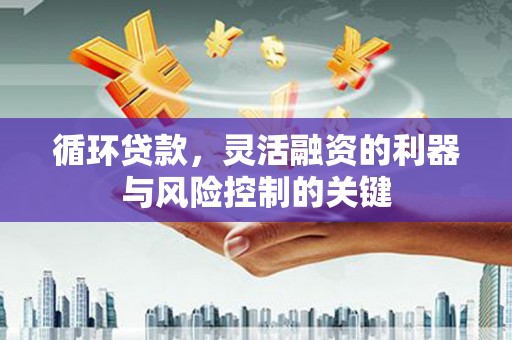 米东循环贷款，灵活融资的利器与风险控制的关键