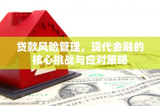 米东贷款风险管理，现代金融的核心挑战与应对策略