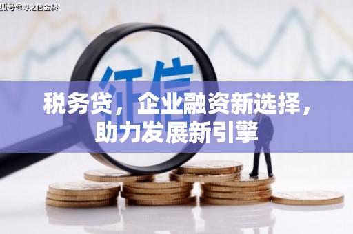 米东税务贷，企业融资新选择，助力发展新引擎