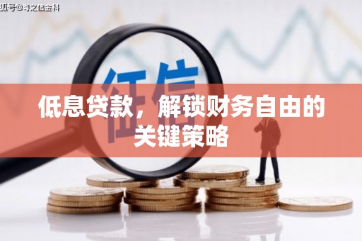 米东低息贷款，解锁财务自由的关键策略
