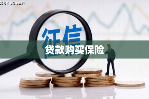 米东贷款购买保险