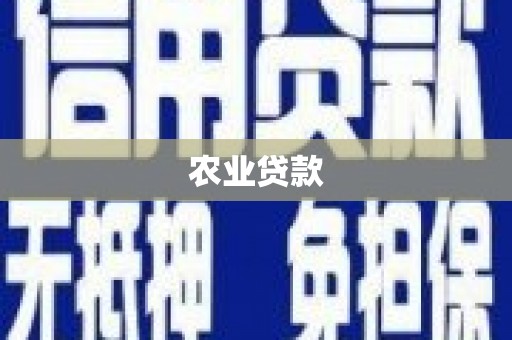 米东农业贷款