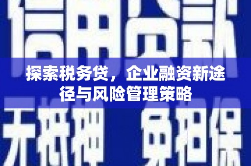 米东探索税务贷，企业融资新途径与风险管理策略