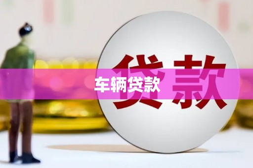 米东车辆贷款