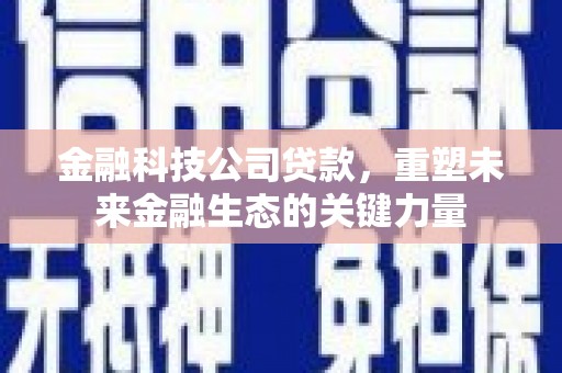 米东金融科技公司贷款，重塑未来金融生态的关键力量