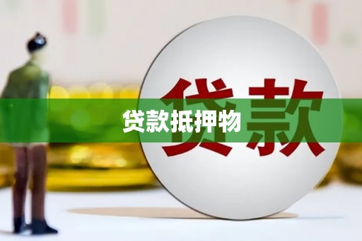 米东贷款抵押物