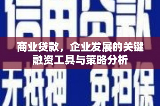 米东商业贷款，企业发展的关键融资工具与策略分析
