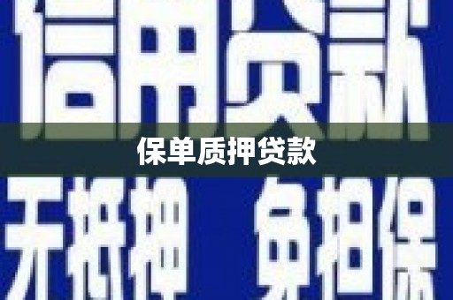 米东保单质押贷款