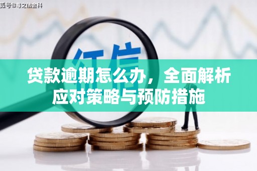米东贷款逾期怎么办，全面解析应对策略与预防措施