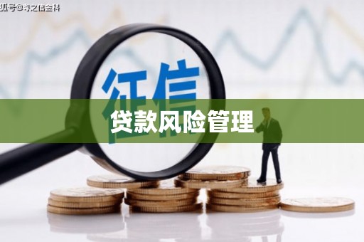 米东贷款风险管理