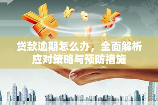 米东贷款逾期怎么办，全面解析应对策略与预防措施